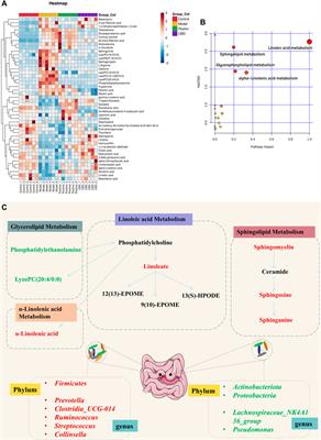 Integrating fecal metabolomics and intestinal microbiota to study the mechanism of cannabidiol in the treatment of idiopathic pulmonary fibrosis